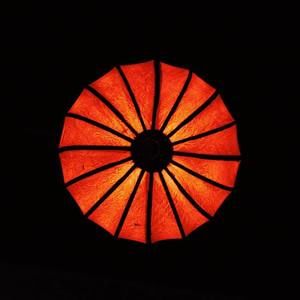 Meet your Posher, Jackson